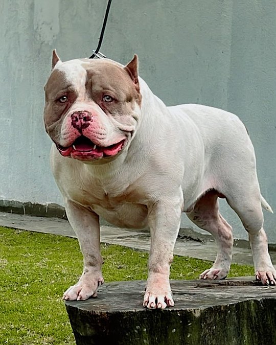 Foto 4