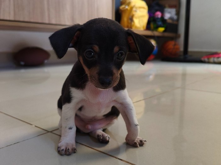 Foto do mês 1