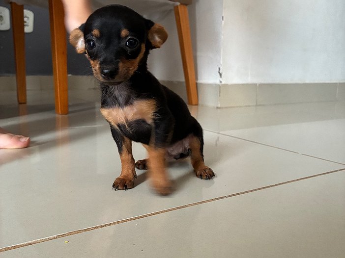 Foto do mês 2
