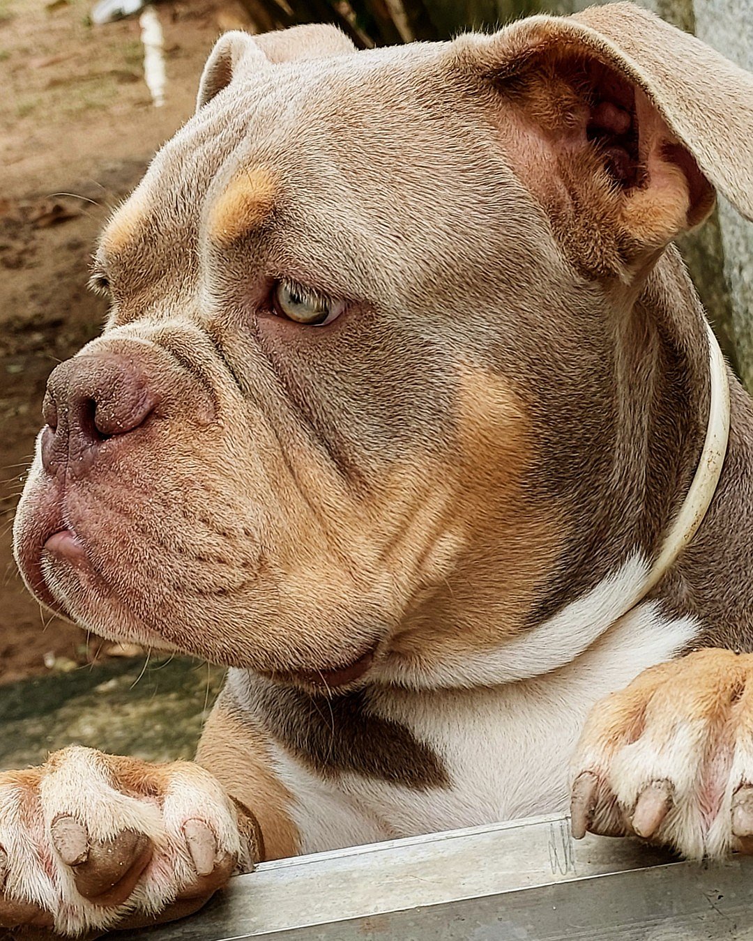 Post