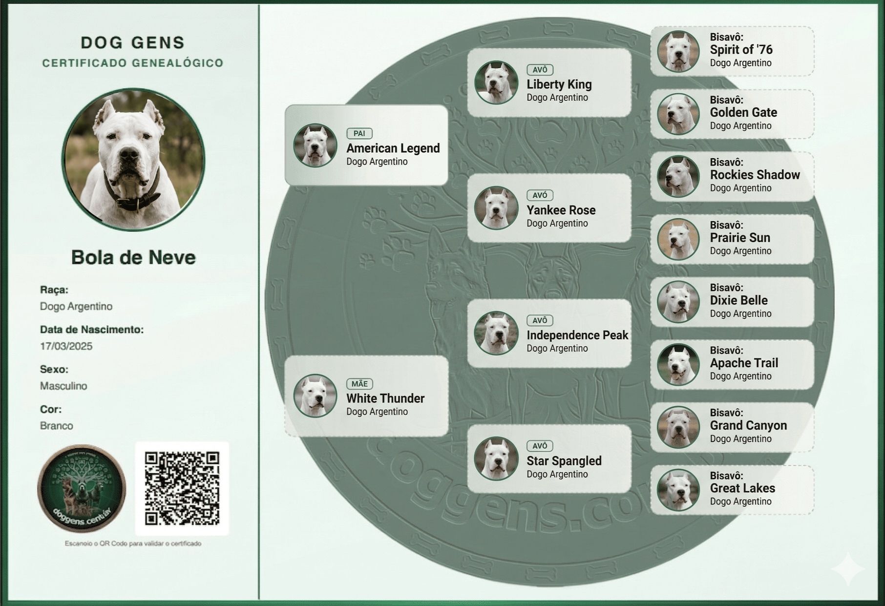 Árvore genealógica